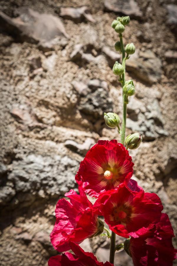 Appartamento Alvavista2 Trevi Dış mekan fotoğraf